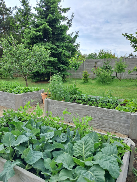 Hochbeet Holzdekor im Garten 1