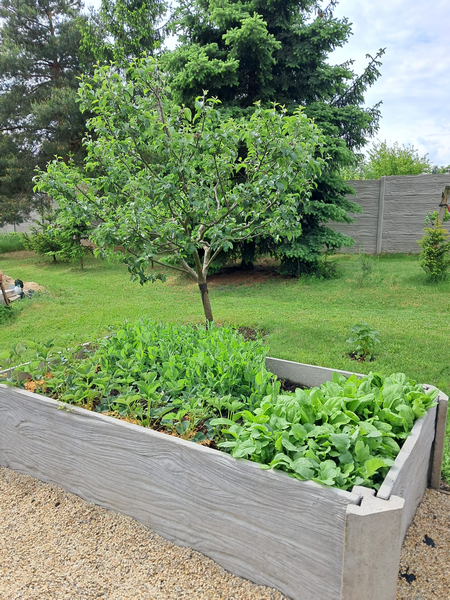 Hochbeet Holzdekor im Garten 2