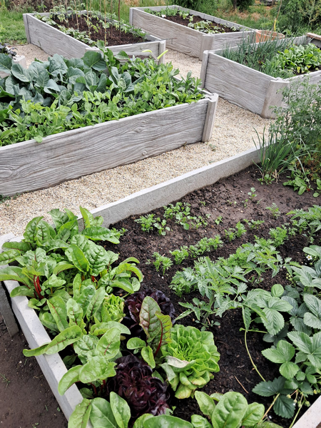 Hochbeet Holzdekor im Garten 4