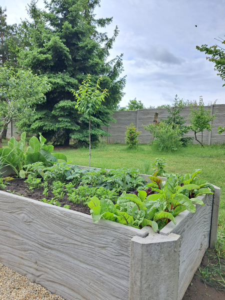Hochbeet Holzdekor im Garten 5